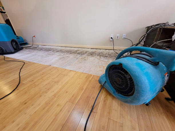 Professional Structural Drying technician working in Old Fort, TN